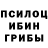 Псилоцибиновые грибы Magic Shrooms Chad Gilmore