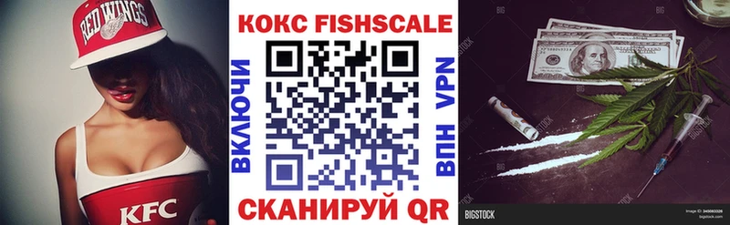 Cocaine Fish Scale  купить   mega как войти  Ужур 
