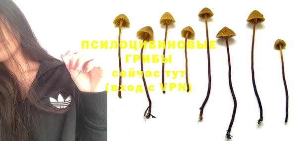 apvp Алексин