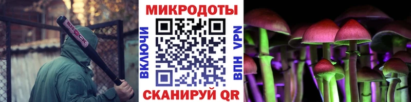 ссылка на мегу   Ужур  Псилоцибиновые грибы Psilocybine cubensis 